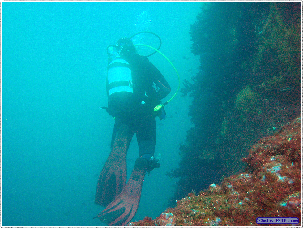 Frioul_2011-06-01_15-35-23.png
