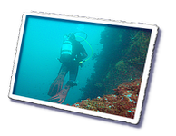 Frioul_2011-06-01_15-35-23.png