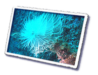 Frioul_2011-06-03_16-03-13.png