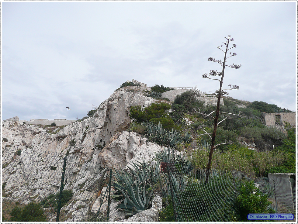 Frioul_2011-06-05_09-46-00_eric.png