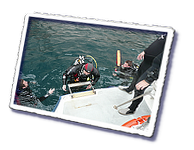 Frioul_2011-06-04_15-52-21_Eric.png