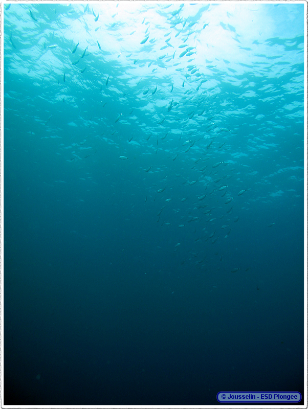 Frioul_2011-06-02_10-35-37_laurent.png