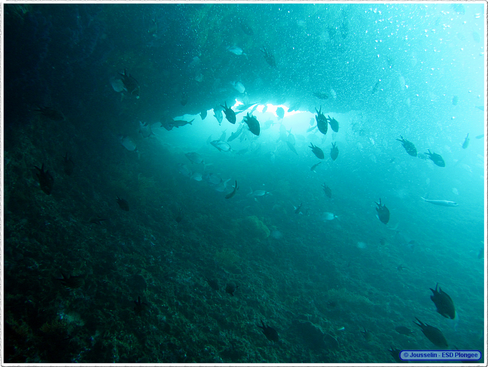 Frioul_2011-06-02_15-36-34_laurent.png