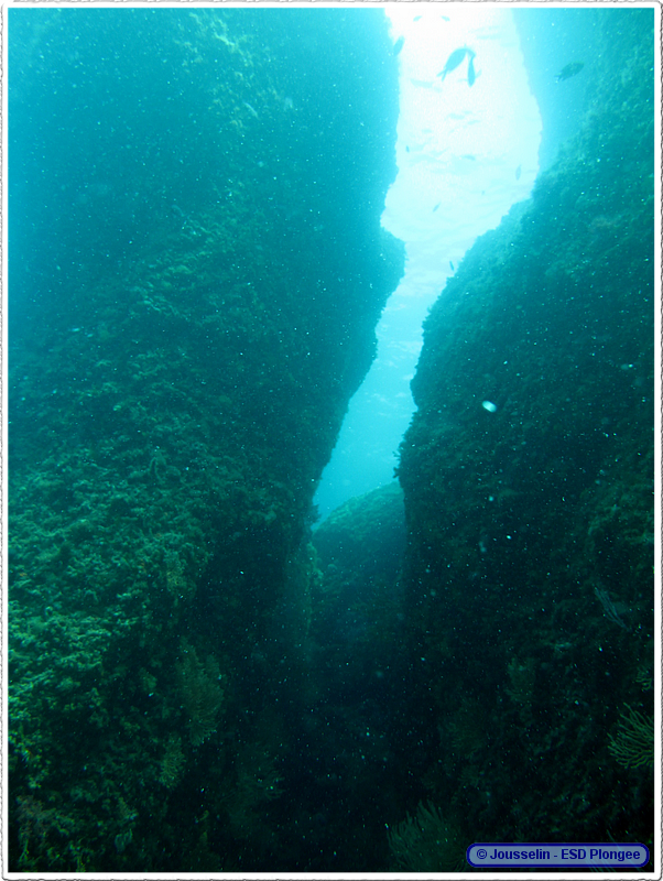 Frioul_2011-06-03_15-59-06_laurent.png
