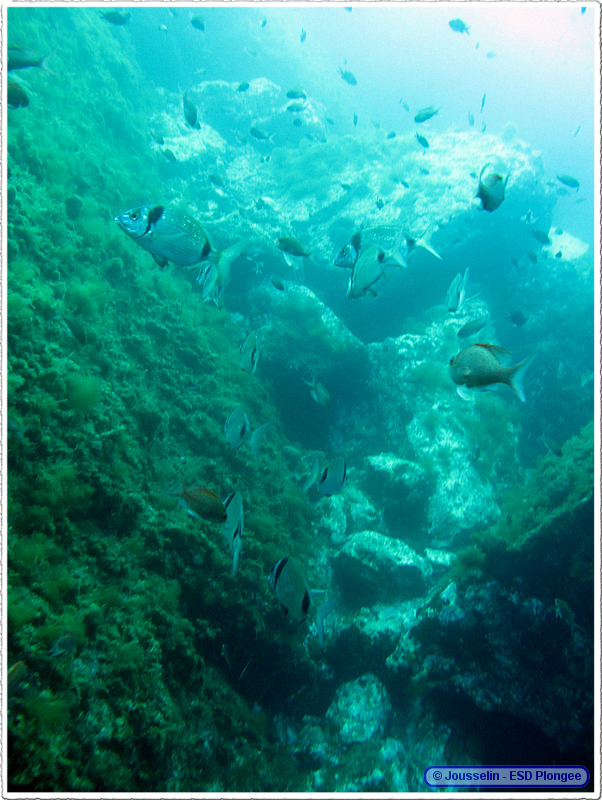Frioul_2011-06-04_11-28-28_laurent.png