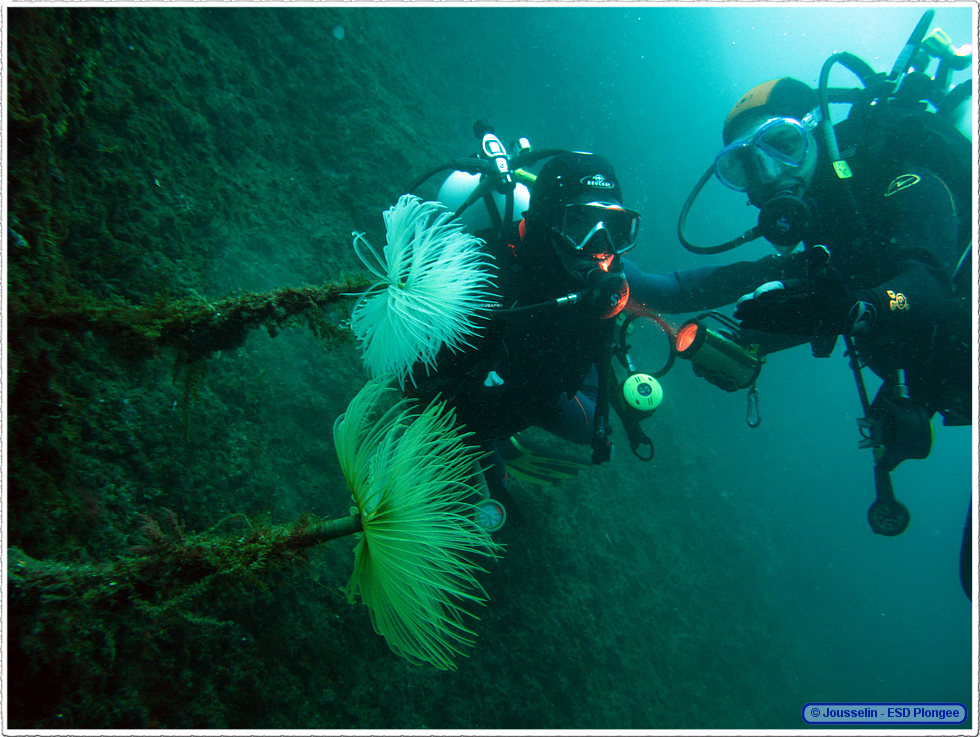 Frioul_2011-06-04_15-57-19_laurent.png