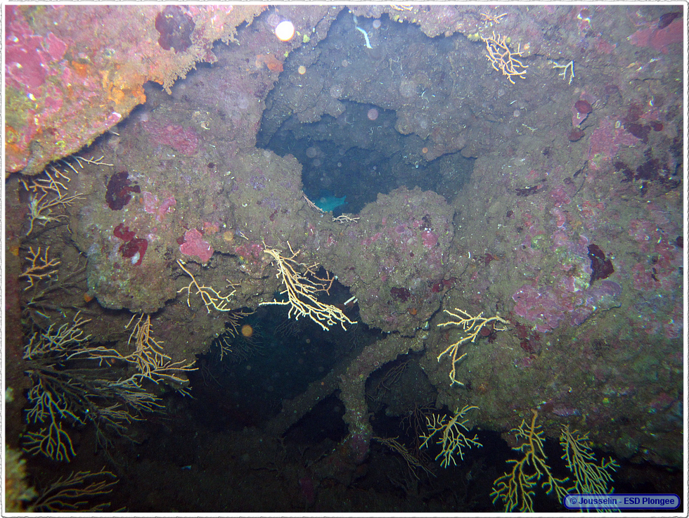 Frioul_2011-06-05_10-39-57_laurent.png