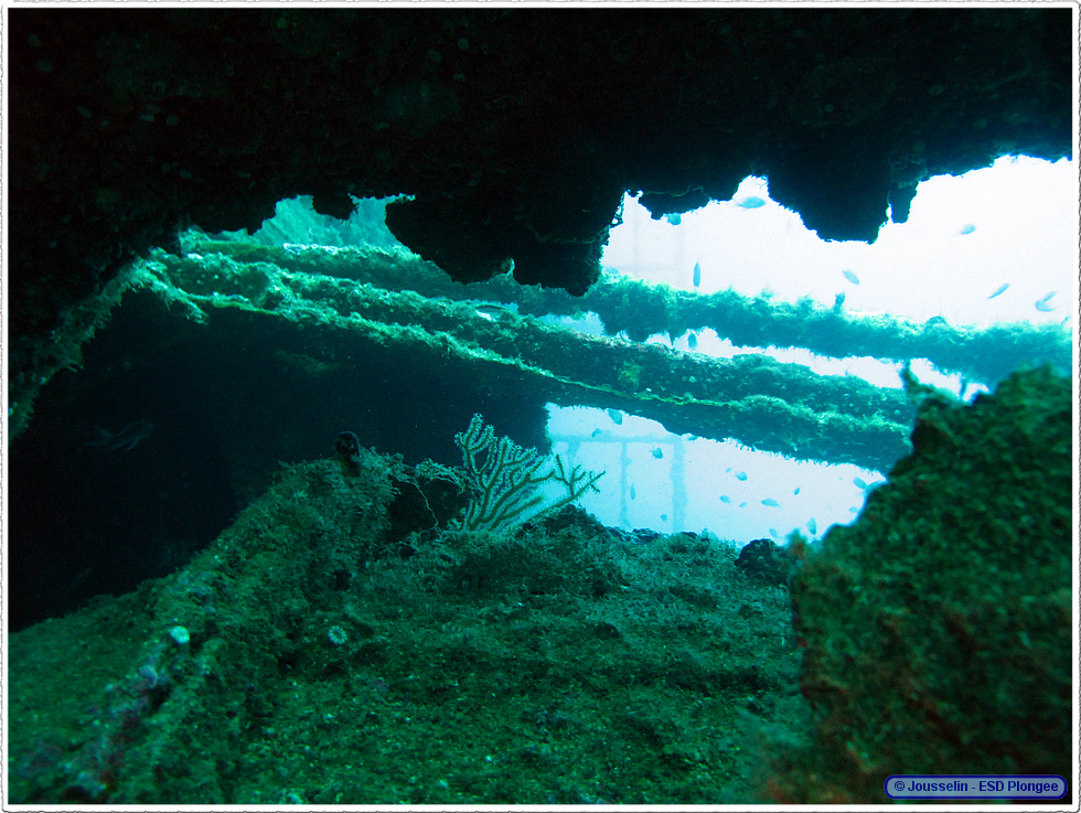 Frioul_2011-06-05_10-45-42_laurent.png