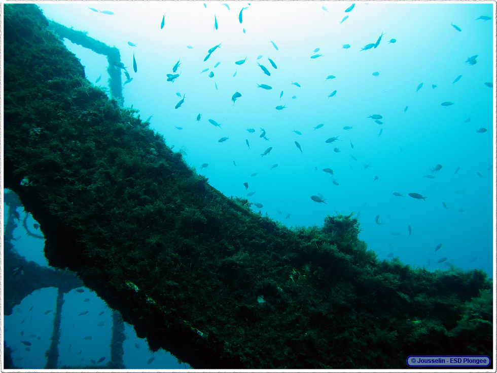 Frioul_2011-06-05_10-46-41_laurent.png