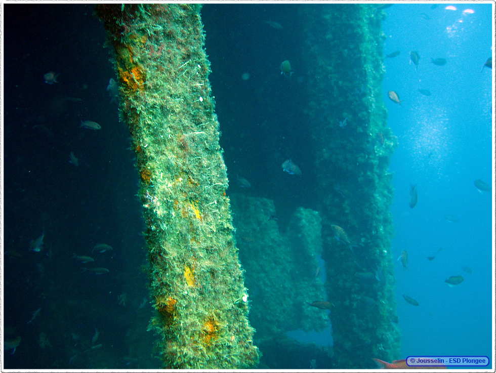 Frioul_2011-06-05_10-54-08_laurent.png