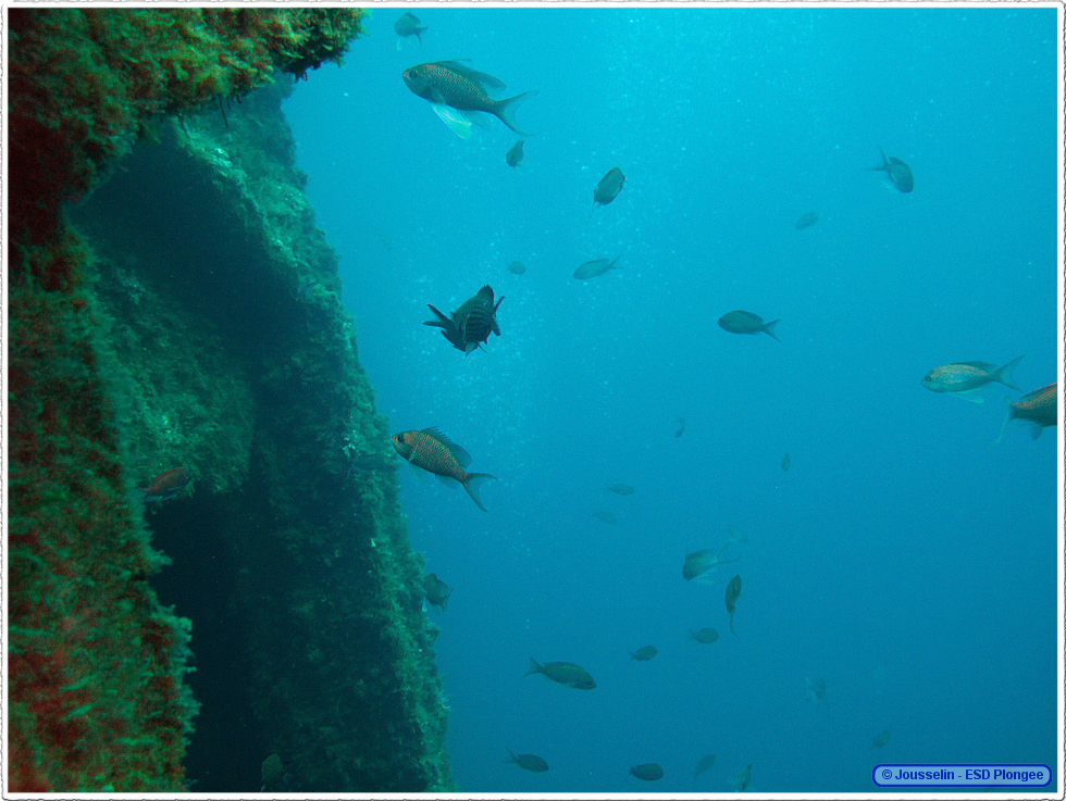 Frioul_2011-06-05_10-54-16_laurent.png