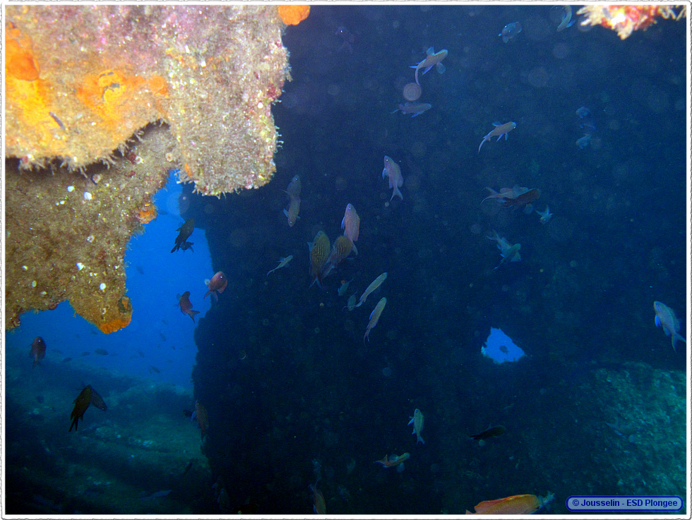 Frioul_2011-06-05_10-54-23_laurent.png