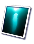 Frioul_2011-06-02_15-51-12_Laurent.png