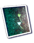 Frioul_2011-06-02_15-53-32_Laurent.png