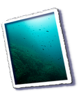 Frioul_2011-06-03_15-50-09_Laurent.png