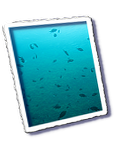 Frioul_2011-06-04_11-19-23_Laurent.png