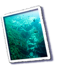 Frioul_2011-06-04_11-28-28_Laurent.png
