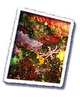 Frioul_2011-06-04_11-33-32_Laurent.png