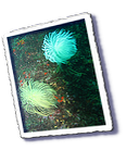 Frioul_2011-06-04_15-56-50_Laurent.png