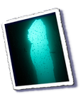 Frioul_2011-06-04_16-01-17_Laurent.png