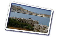 esd_frioul_0375.png