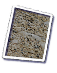 esd_frioul_0432.png