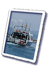 esd_frioul_0562.png