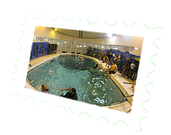 2016-02-10_19-14-30_piscine.png