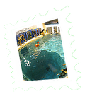 2016-02-10_19-15-02_piscine.png