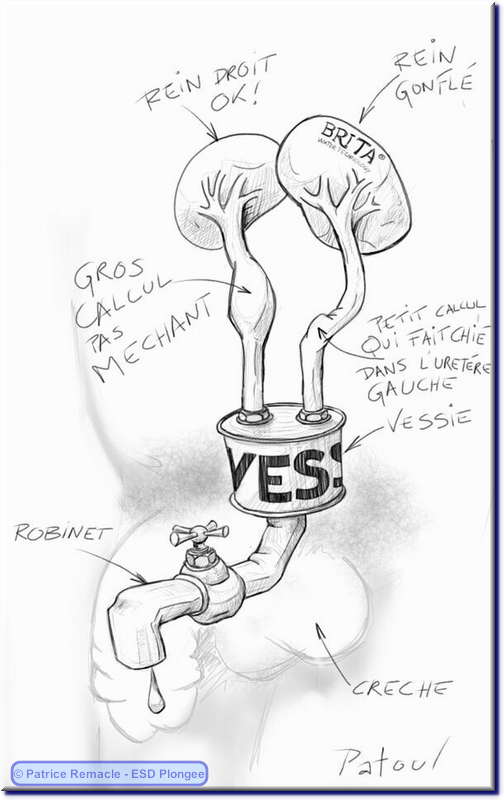2013-03-26_scanner_perso.png