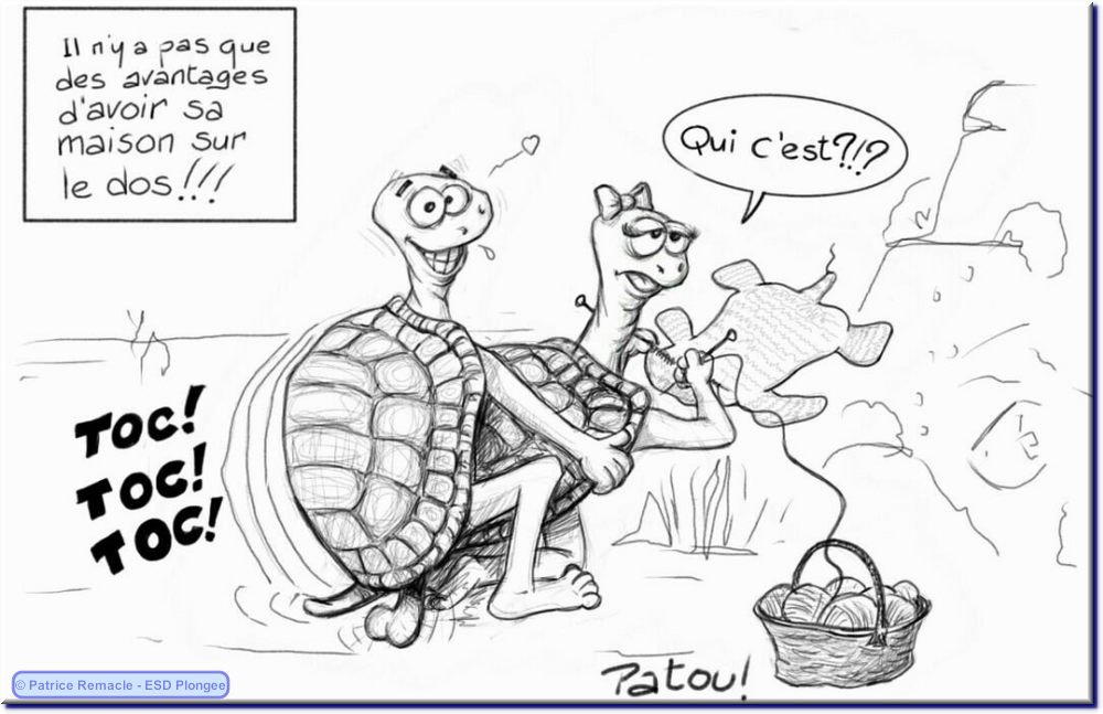 2013-05-12_toc_toc.png