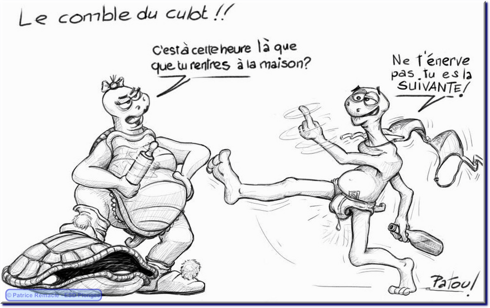 2013-05-19_culot.png