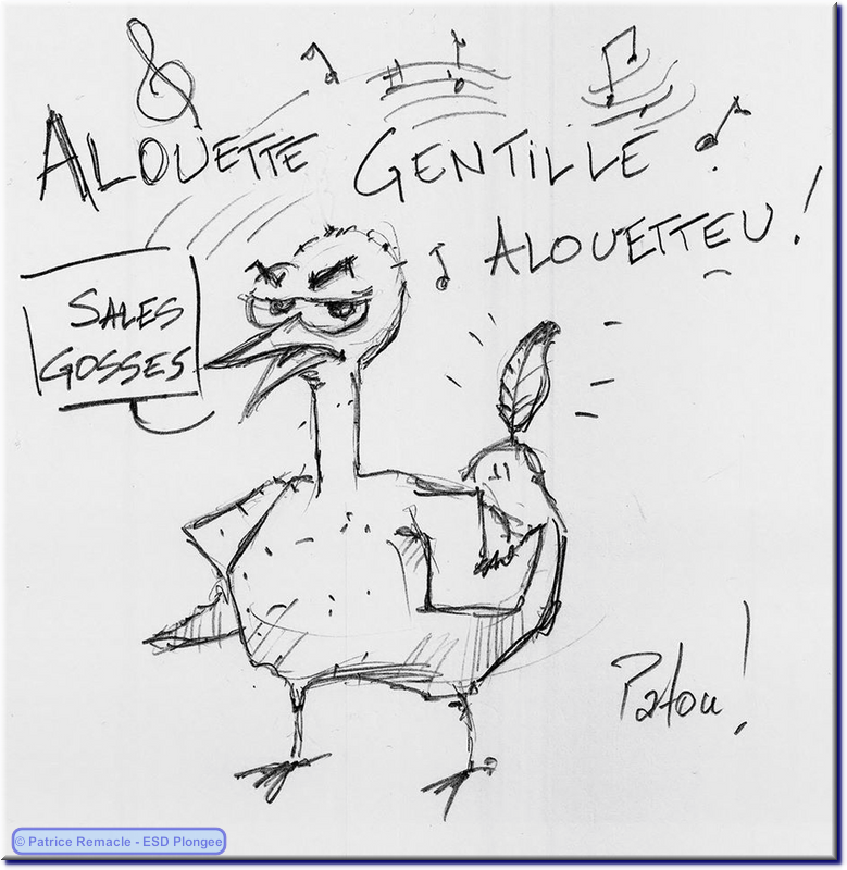 2013-05-24_alouette.png