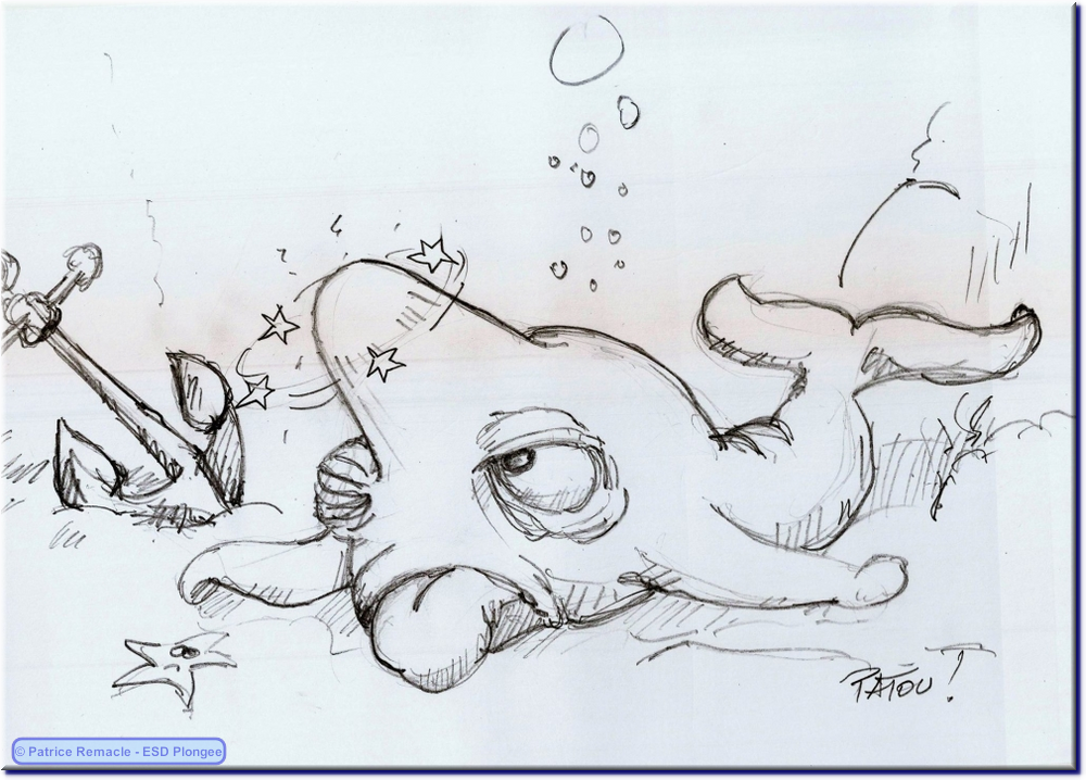 2014-07-02_baleine_a_bosse.png