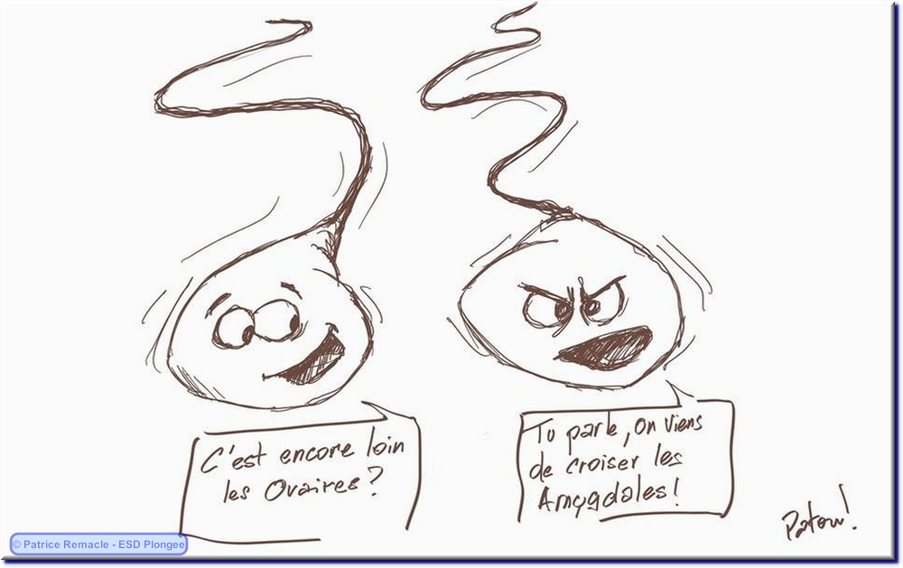 2014-09-20_les_binomes.png