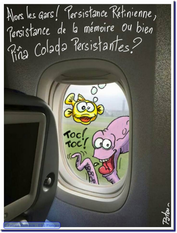 2014-11-16_retour_egypte.png