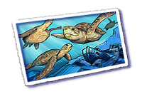 2013-03-18_tortues.png